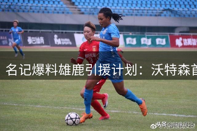 名记爆料雄鹿引援计划：沃特森首选马瑟林备选