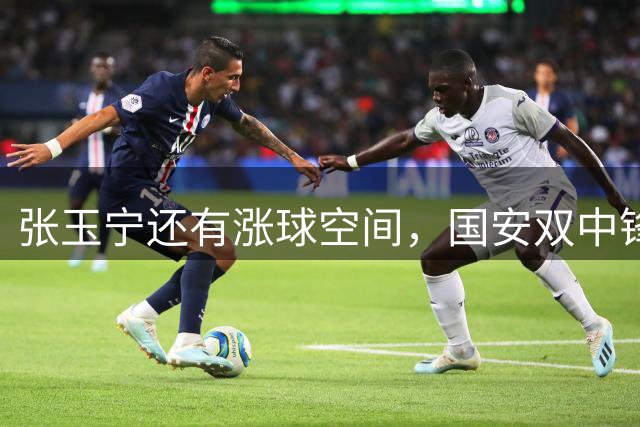 张玉宁还有涨球空间，国安双中锋共存，签泰山队旧将赚了，15日亚冠开踢